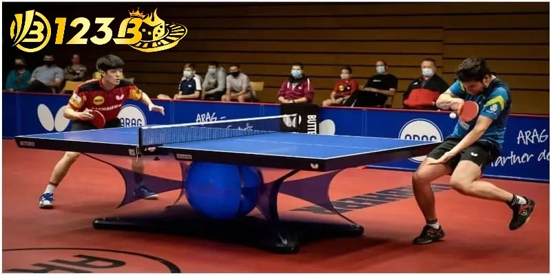 Tìm hiểu thông tin để nhận định trước khi cá cược bóng bàn
