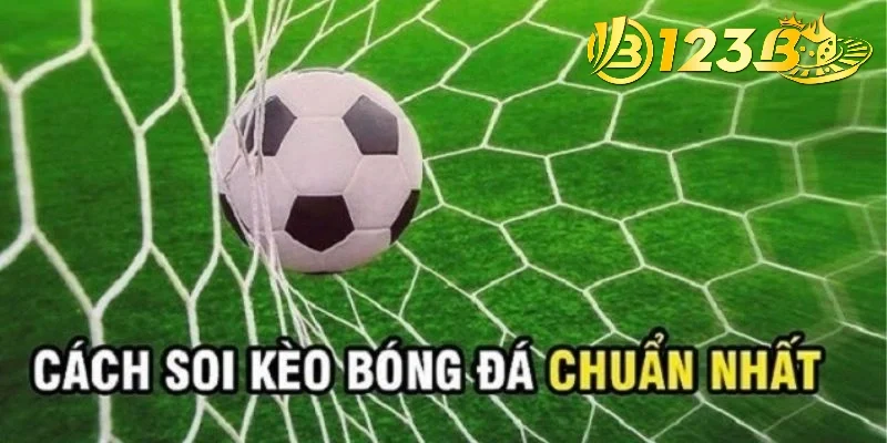 Những tỷ lệ thường gặp khi soi kèo châu Á